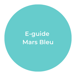 sales academy medisur_e-guide_mars bleu